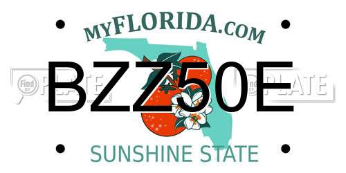 BZZ50E Florida License Plate