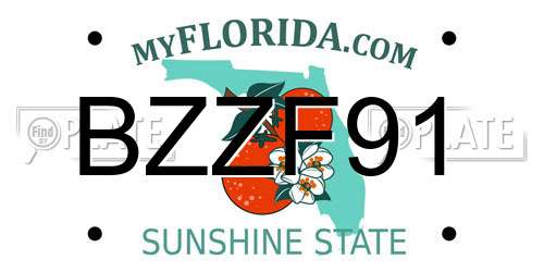 BZZF91 Florida License Plate