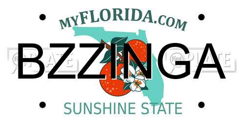 BZZINGA Florida License Plate