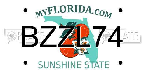 BZZL74 Florida License Plate