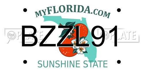 BZZL91 Florida License Plate