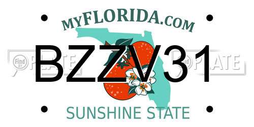 BZZV31 Florida License Plate