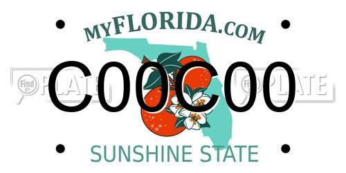 C00C00 Florida License Plate