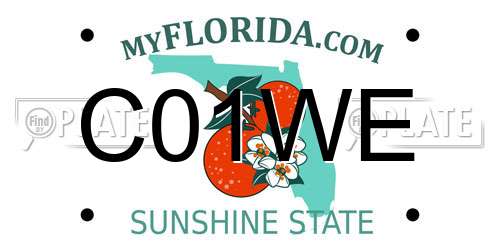 C01WE Florida License Plate