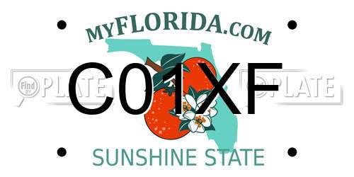 C01XF Florida License Plate