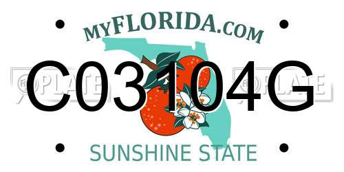 C03104G Florida License Plate