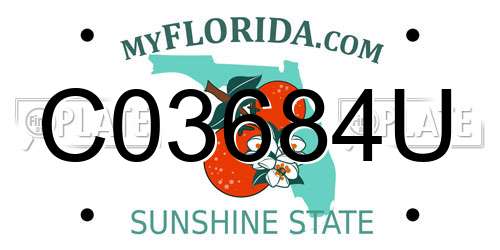 C03684U Florida License Plate