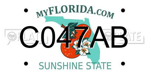 C047AB Florida License Plate