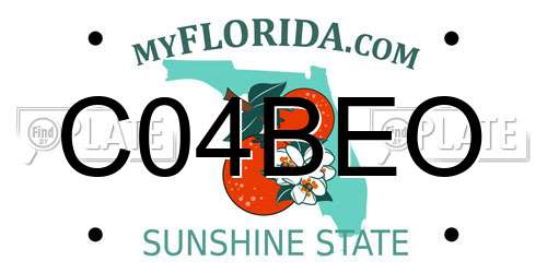 C04BEO Florida License Plate