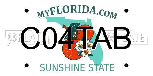 C04TAB Florida License Plate