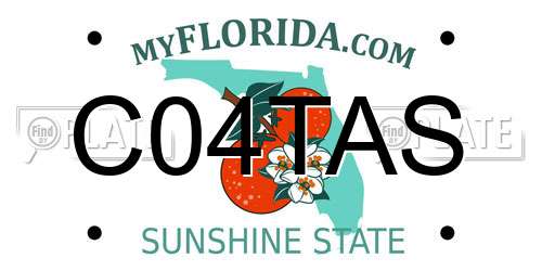 C04TAS Florida License Plate