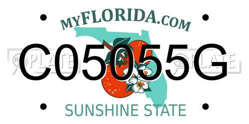 C05055G Florida License Plate