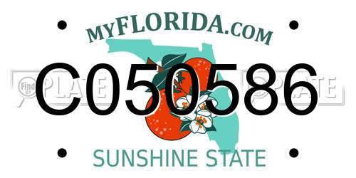 C050586 Florida License Plate