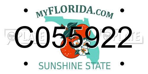 C055922 Florida License Plate