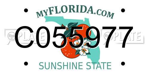 C055977 Florida License Plate
