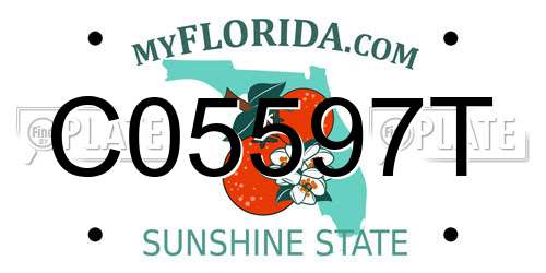 C05597T Florida License Plate