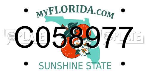 C058977 Florida License Plate