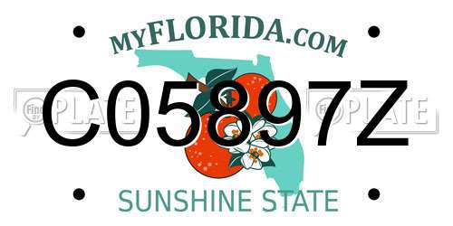 C05897Z Florida License Plate