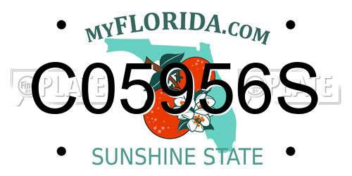 C05956S Florida License Plate