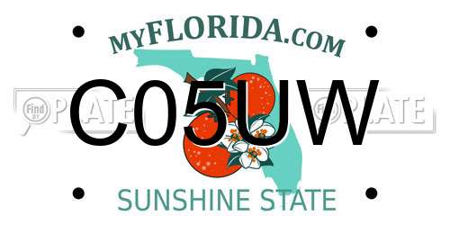 C05UW Florida License Plate