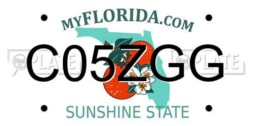 C05ZGG Florida License Plate