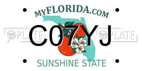C07YJ Florida License Plate