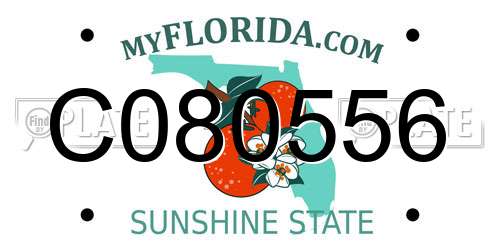 C080556 Florida License Plate