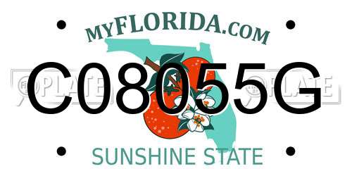 C08055G Florida License Plate