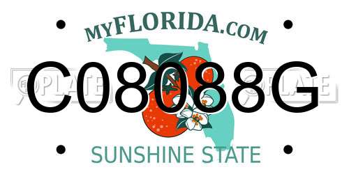 C08088G Florida License Plate