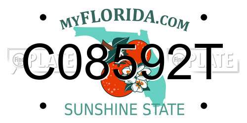C08592T Florida License Plate