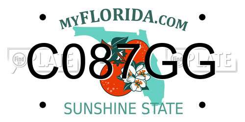 C087GG Florida License Plate