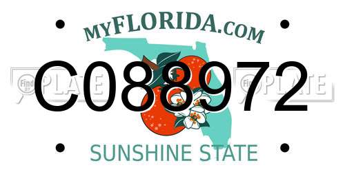 C088972 Florida License Plate
