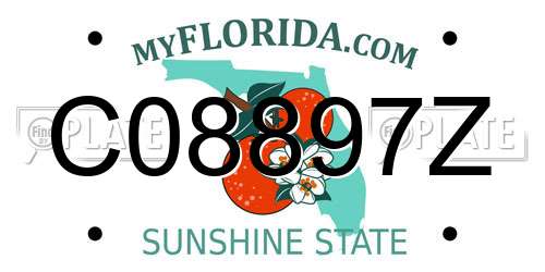 C08897Z Florida License Plate