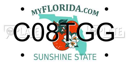 C08TGG Florida License Plate