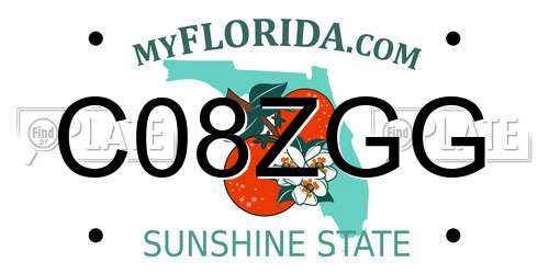C08ZGG Florida License Plate