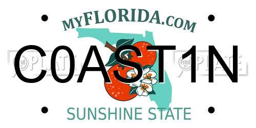 C0AST1N Florida License Plate
