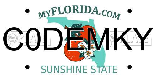 C0DEMKY Florida License Plate