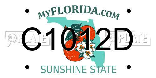 C1012D Florida License Plate