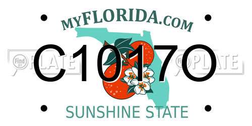 C1017O Florida License Plate