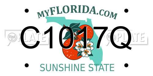 C1017Q Florida License Plate