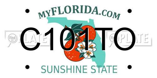 C101TO Florida License Plate
