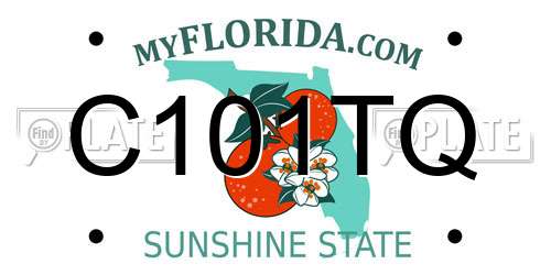 C101TQ Florida License Plate