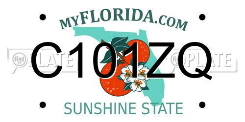 C101ZQ Florida License Plate