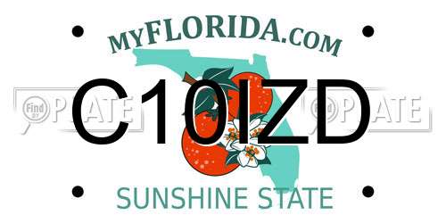 C10IZD Florida License Plate