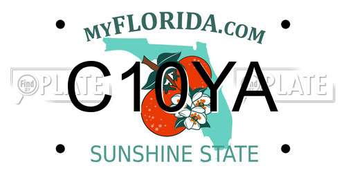 C10YA Florida License Plate
