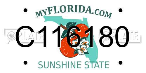 C116180 Florida License Plate