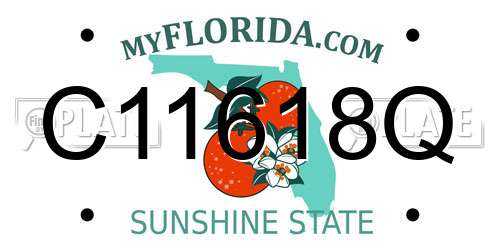C11618Q Florida License Plate