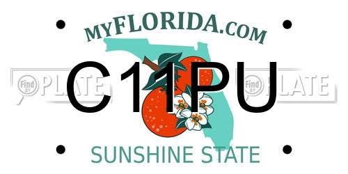 C11PU Florida License Plate