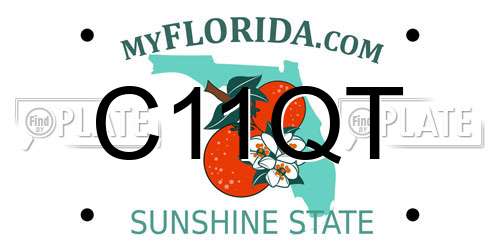 C11QT Florida License Plate