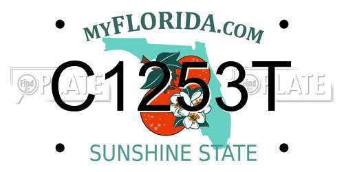 C1253T Florida License Plate
